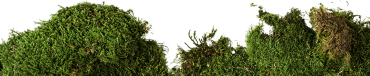 Ancestral Organics